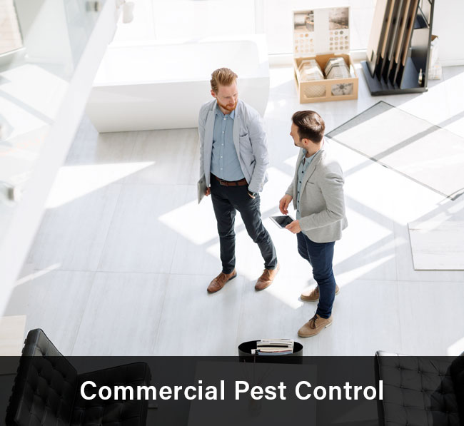 Commercial Pest Control in Sydney