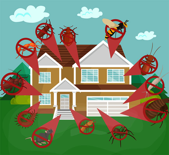 Residential Pest Control in Sydney