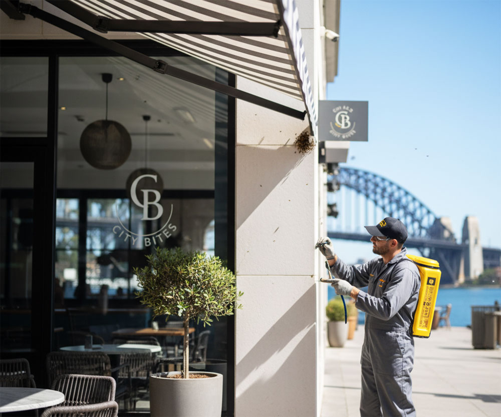 Commercial Bees Control Services in Sydney
