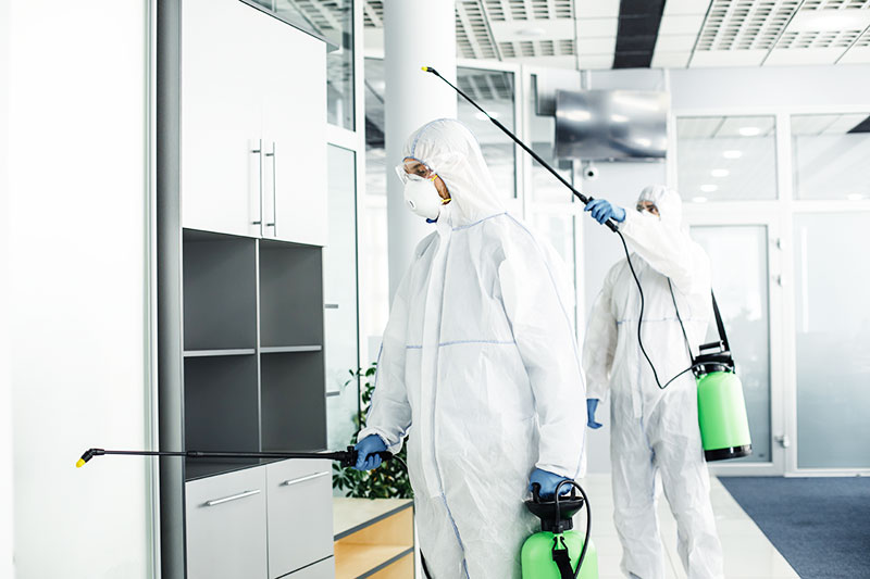 Commercial Pest Control Inner West Sydney