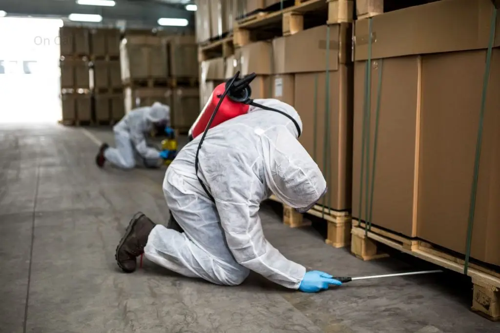 How Our Blacktown Pest Control Works
