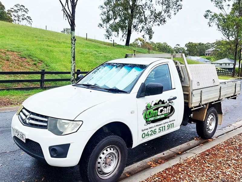 Local Pest Control Company in Sydney