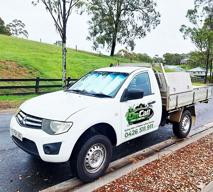 Local Pest Control Company in Sydney
