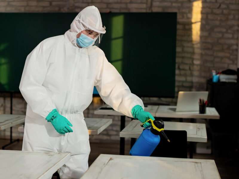 Pest Control Blacktown - Termite, Cockroach & Rodent Treatments