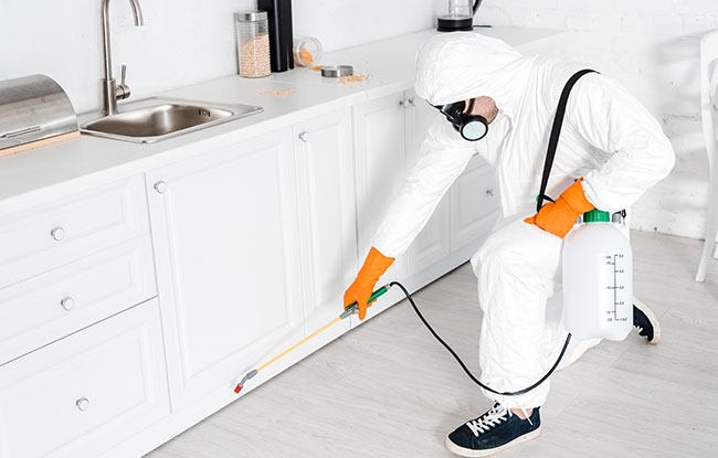 Pest-Control-Spring-Farm