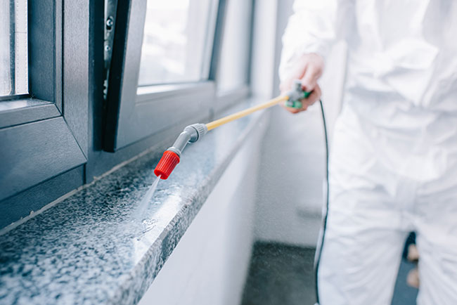 pest-control-campbelltown