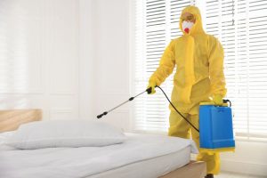 5 Signs You Have a German Cockroach Infestation — Not Just Regular Cockroaches