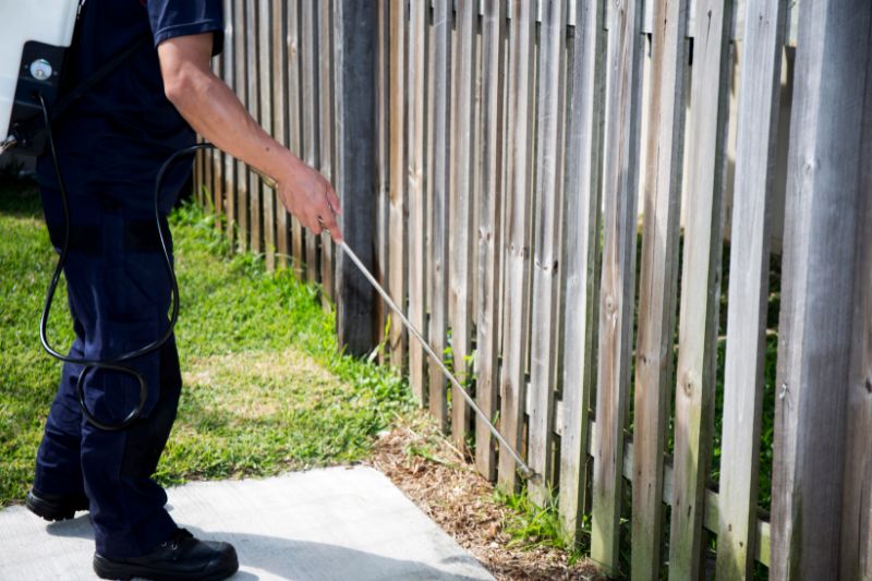 Our Pest Control Services in Burwood