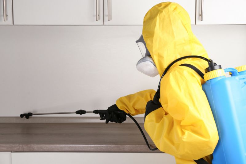 Our Pest Control Services in Croydon