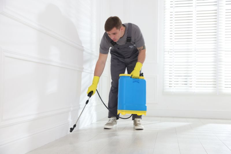 Pest Control Annandale — Local, Licensed & Same-Day Service