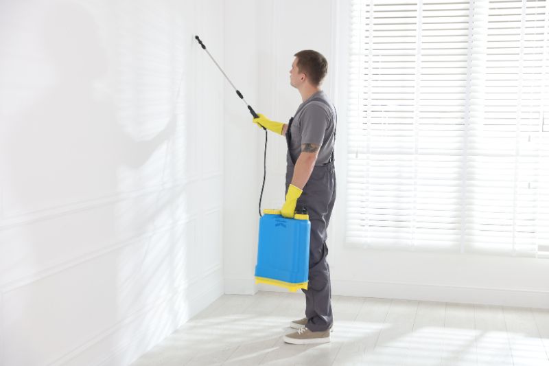 _Pest Control Ashfield — Same-Day Service for Homes, Apartments & Businesses