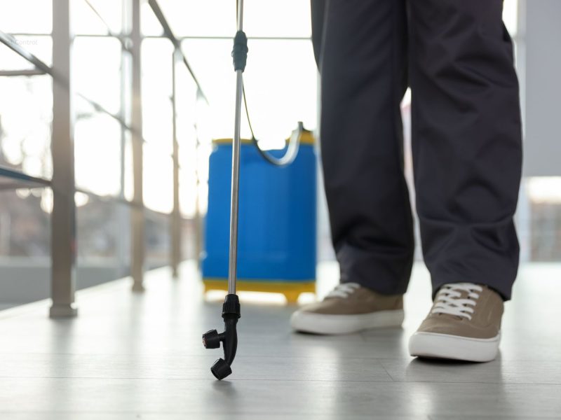 Pest Control Balmain Licensed & Local From $89 On Call Pest Control