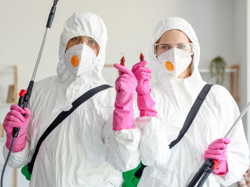 Pest Control Birchgrove