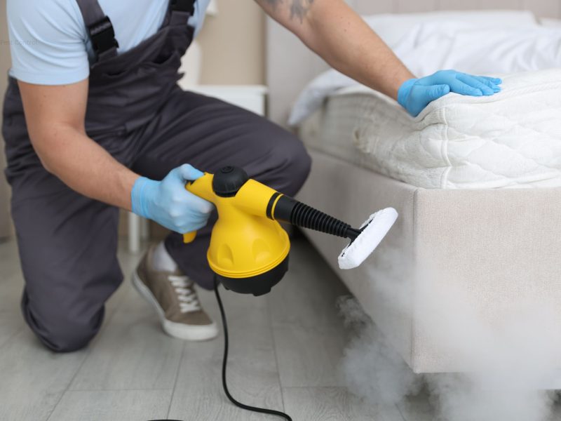 Pest Control Burwood Heights 2136 Termite & Rodent Specialists $89
