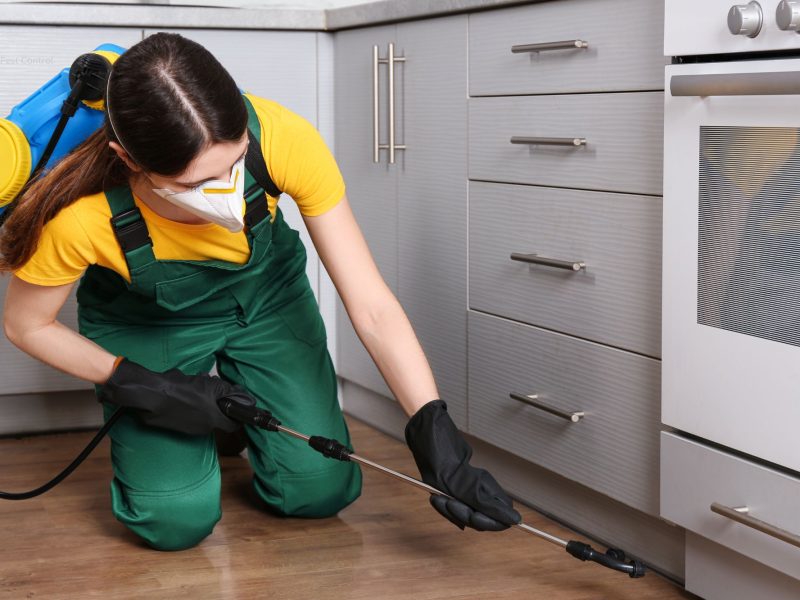 Pest Control Burwood NSW 2134 Same-Day Service from $89 On Call