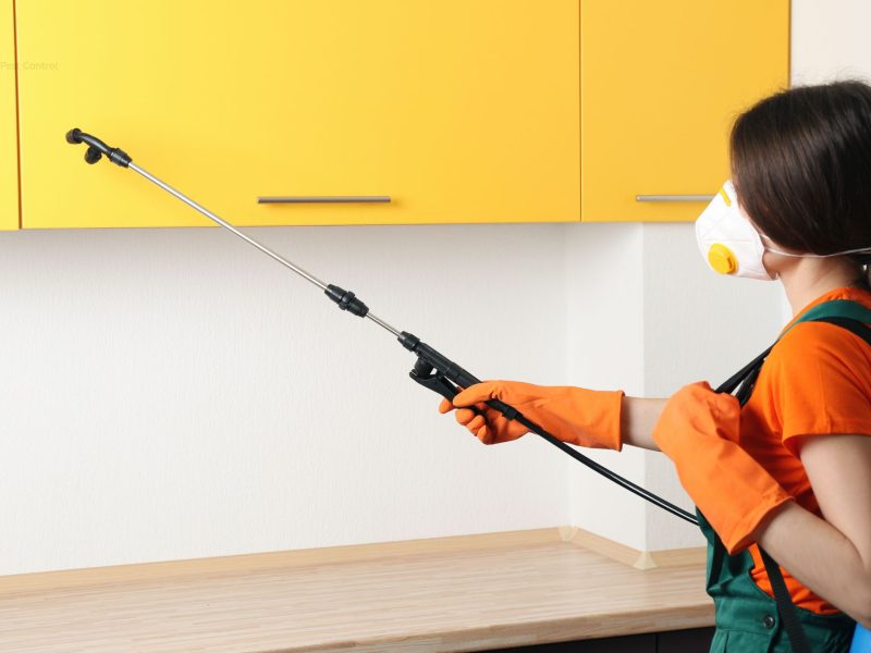 Pest Control Canada Bay NSW 2046 Waterfront Home Specialists $89