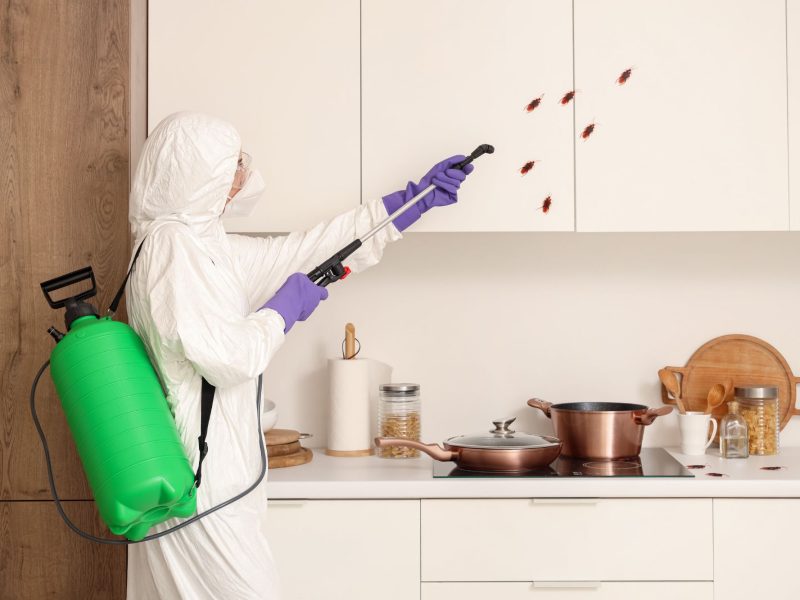 Pest Control Croydon NSW 2132 Heritage Home Termite & Pest Experts $89