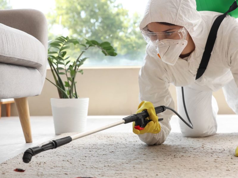 Pest Control Dulwich Hill
