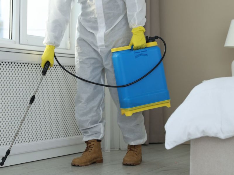 Pest Control Five Dock