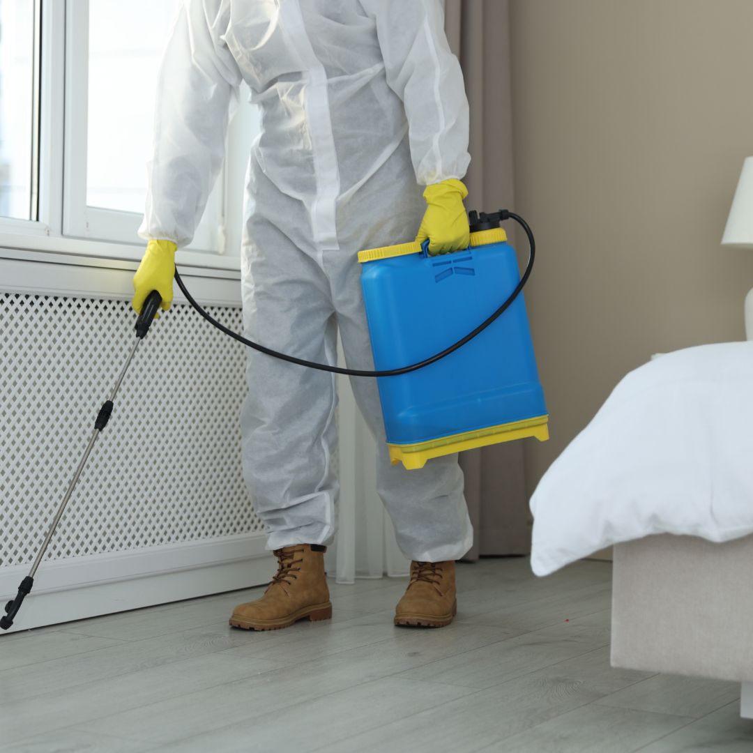 Pest Control Five Dock