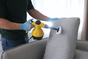 Pest Control in Older Sydney Homes: What Every Inner West Homeowner Should Know