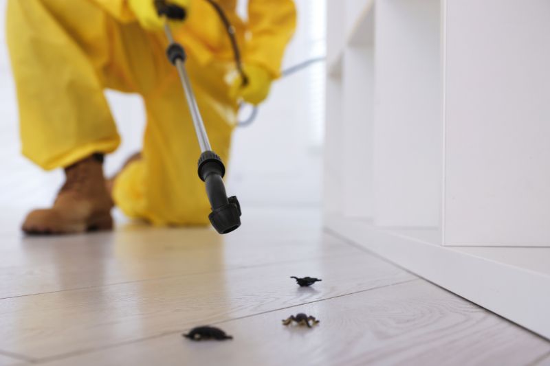 Residential Pest Control in Balmain