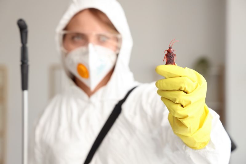 Why Canada Bay Homes & Businesses Need Specialist Pest Control