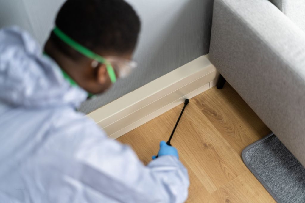 Common Pest Hotspots in Office Buildings