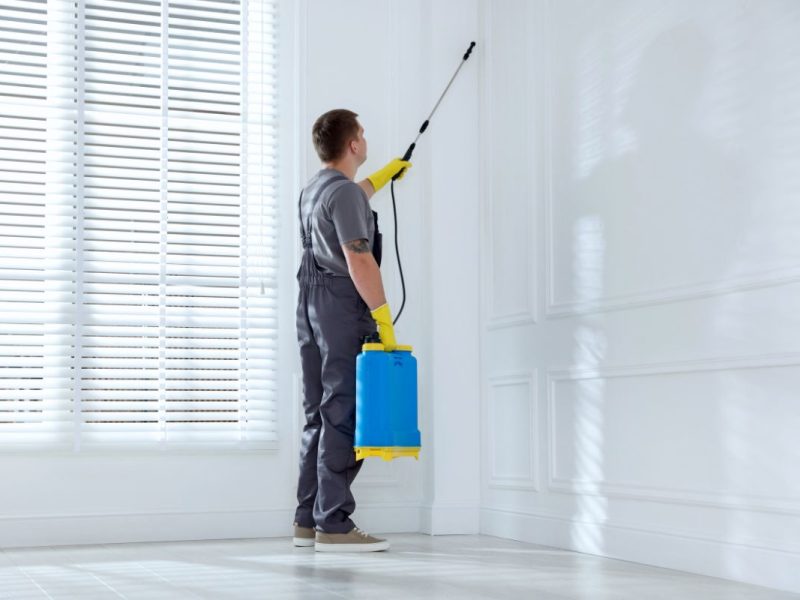 End of Lease Pest Control Sydney - Same-Day Bond-Back Treatment