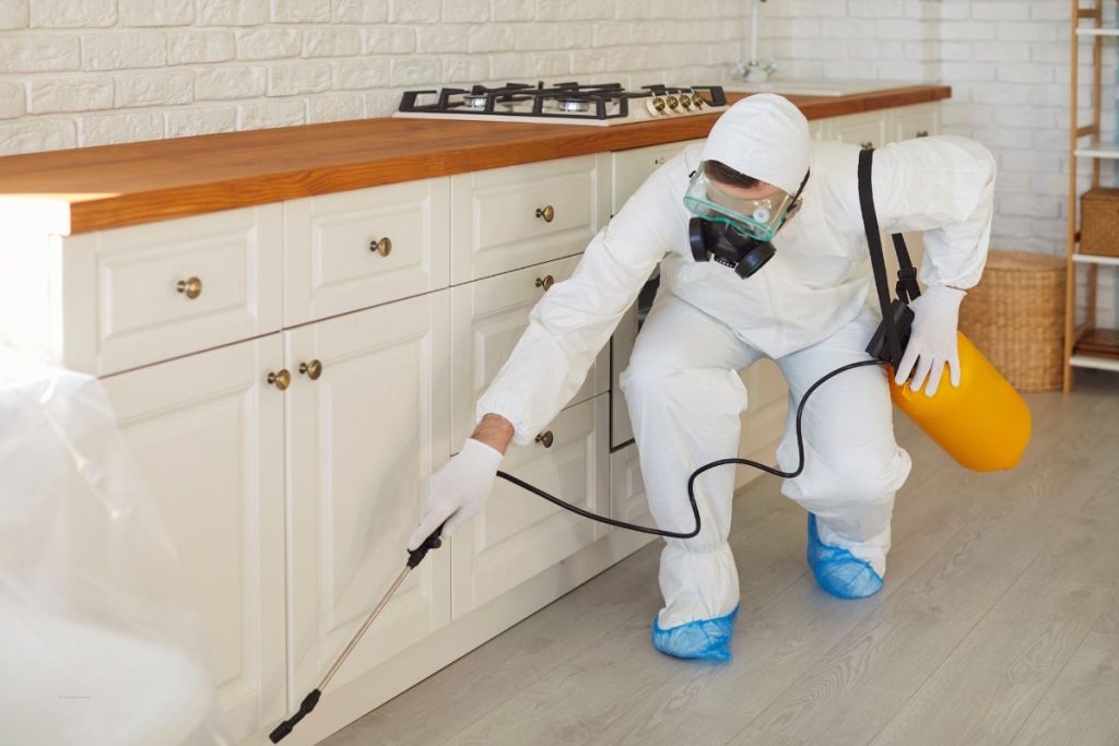 How to Help Keep Your Venue Pest-Free Between Visits