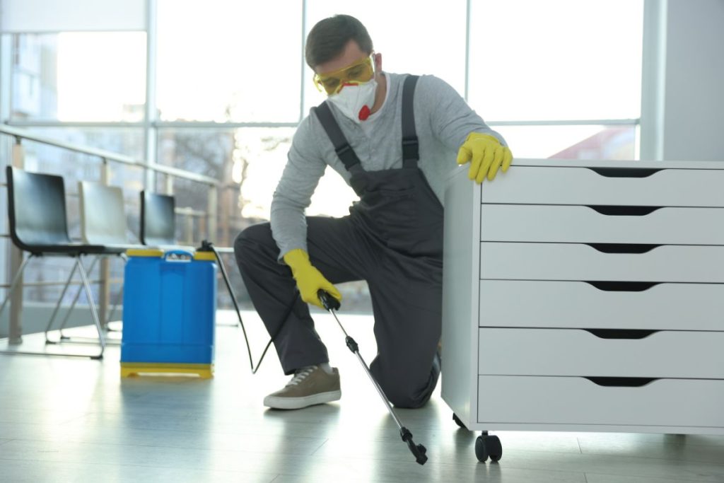 Office Pest Control Sydney