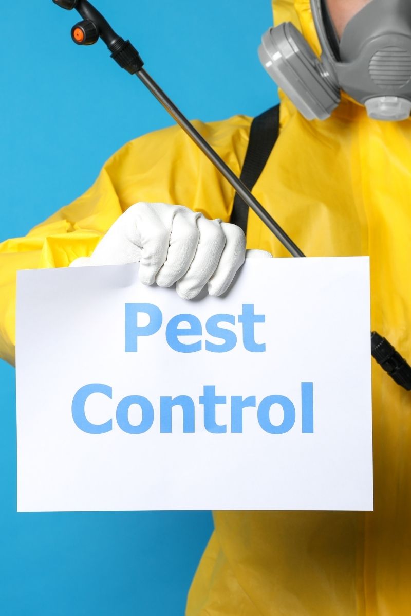 Our Pest Control Process for Leichhardt Properties