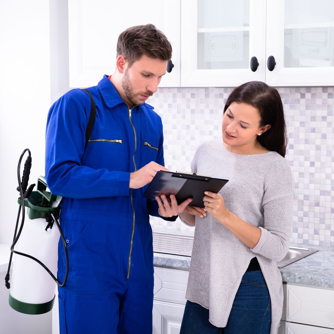 Pest Control Haberfield