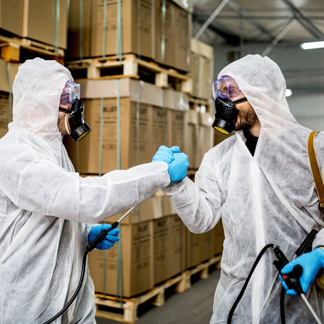 Pest Control Leichhardt