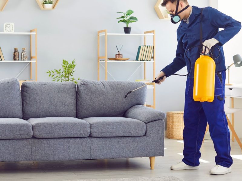 Pest Control Lewisham