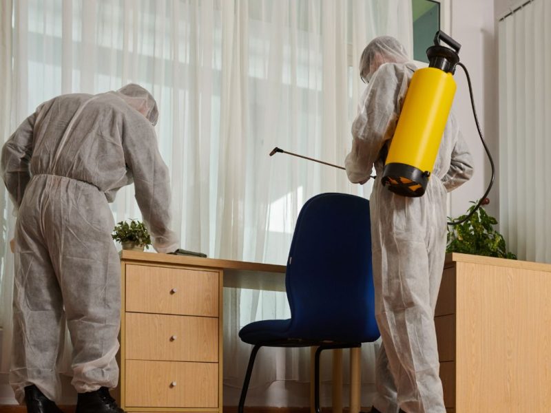 Pest Control Lilyfield