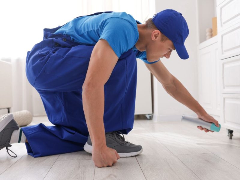 Pest Control Marrickville