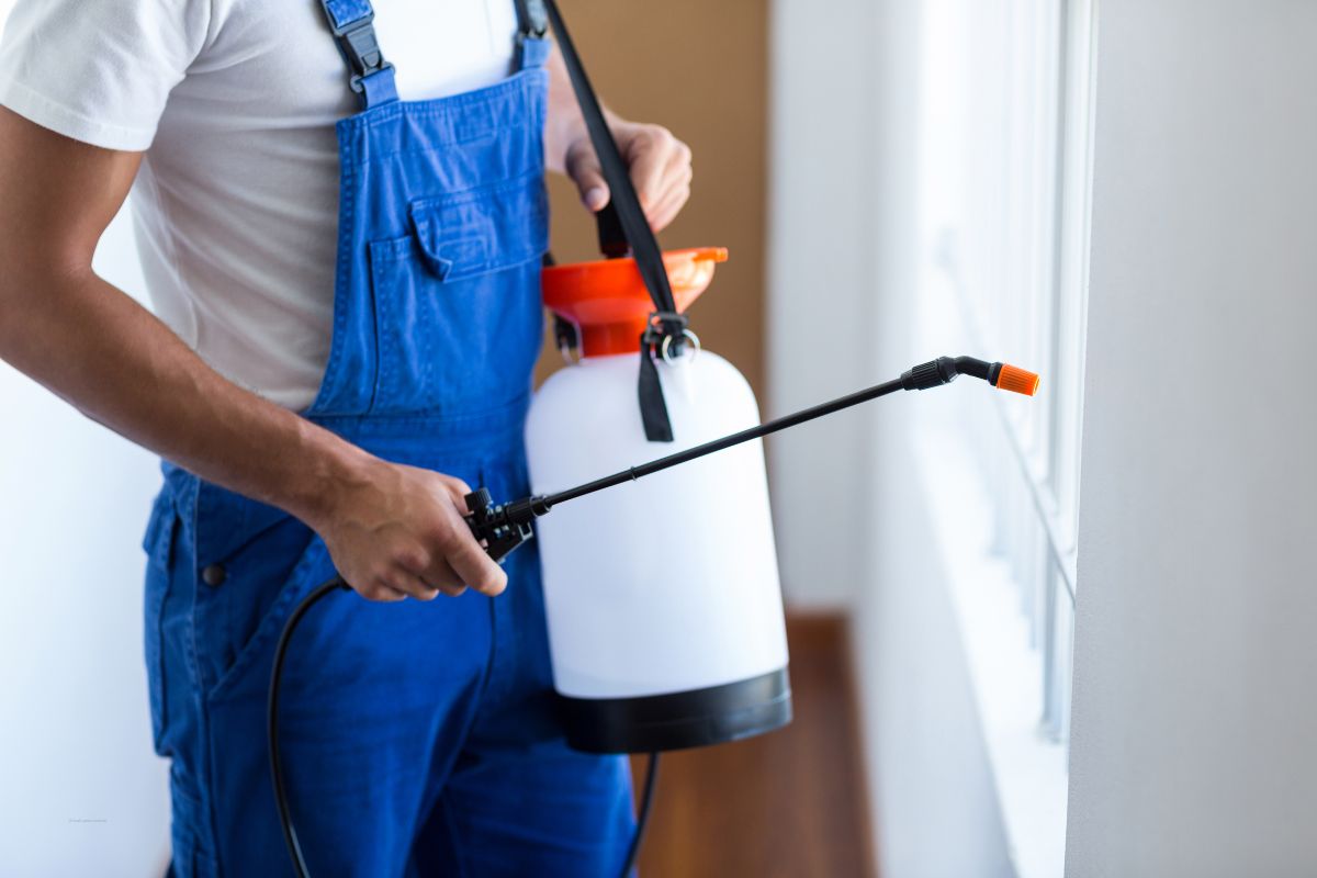 Premium Cockroach Control Services in Sydney