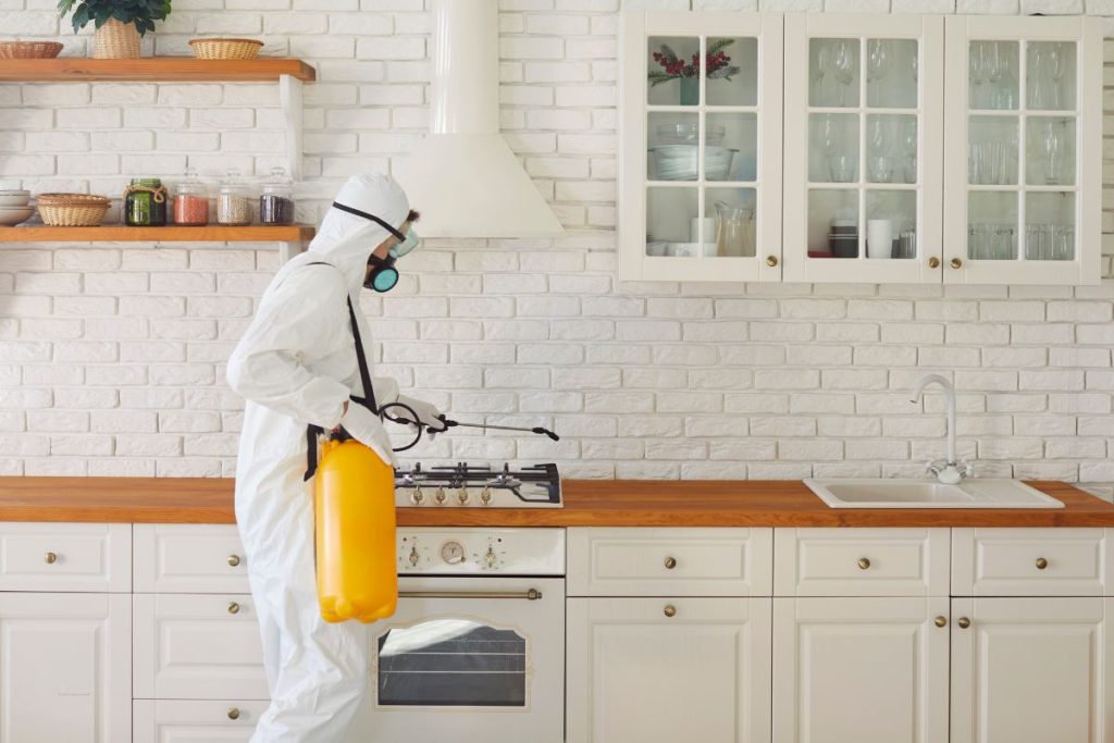 Restaurant & Café Pest Control Sydney