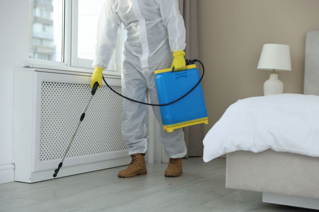 What a Pest Problem Really Costs a Business