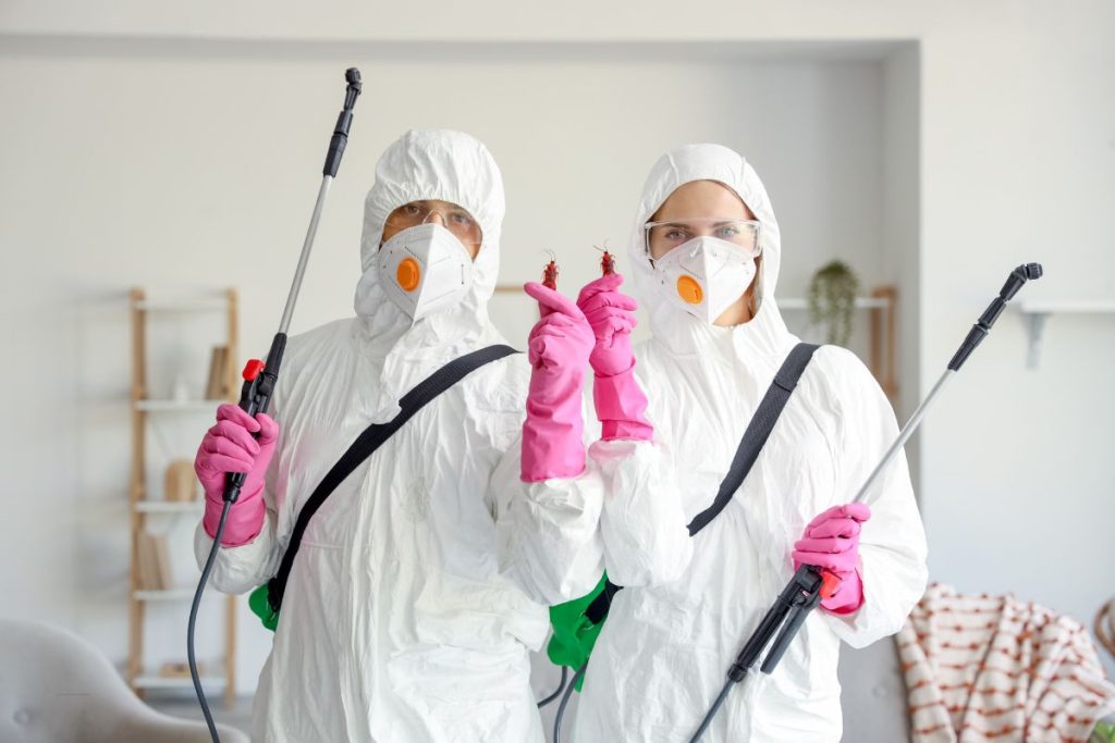 Why Restaurants & Cafés Attract Pests
