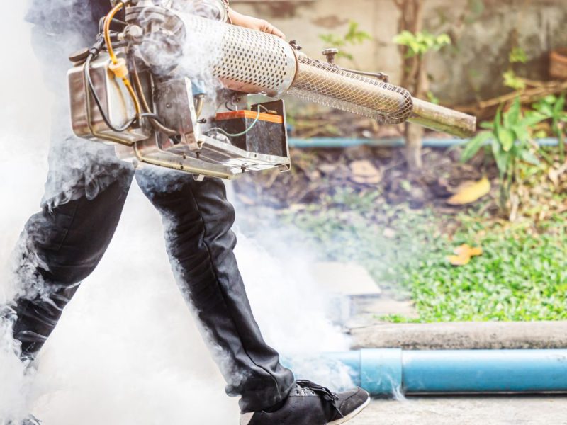 Pest Control Rozelle - Local, Licensed Specialists for Homes, Warehouses & Businesses