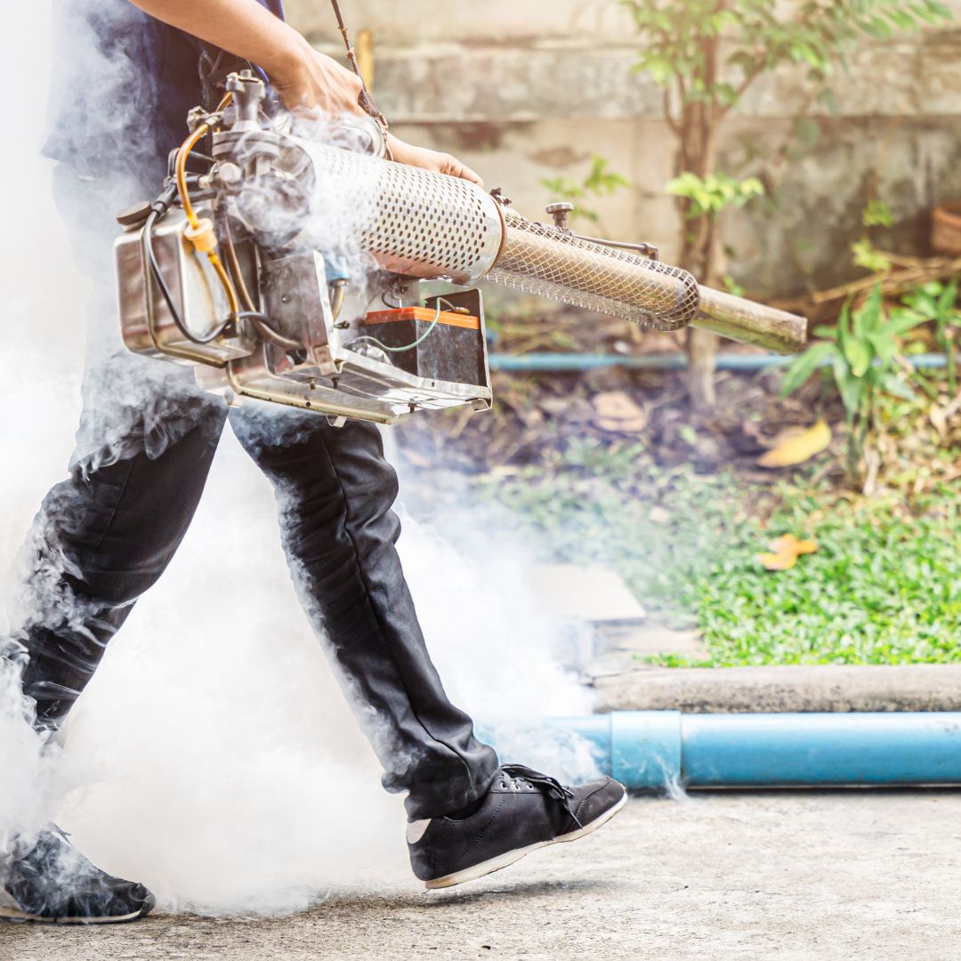 Pest Control Rozelle - Local, Licensed Specialists for Homes, Warehouses & Businesses