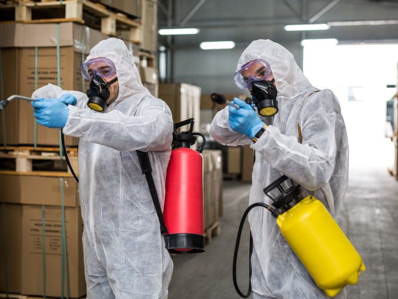 Pest Control Strathfield — Local, Licensed Specialists for Homes, Apartments & Businesses