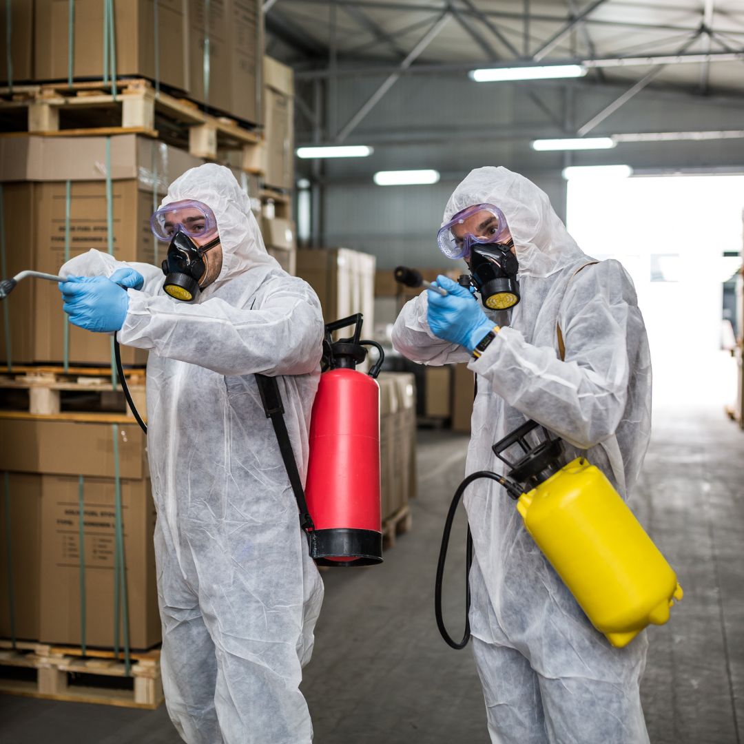 Pest Control Strathfield — Local, Licensed Specialists for Homes, Apartments & Businesses