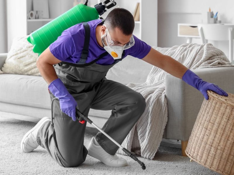 Pest Control Summer Hill Same-Day Service From $89 On Call Pest Control