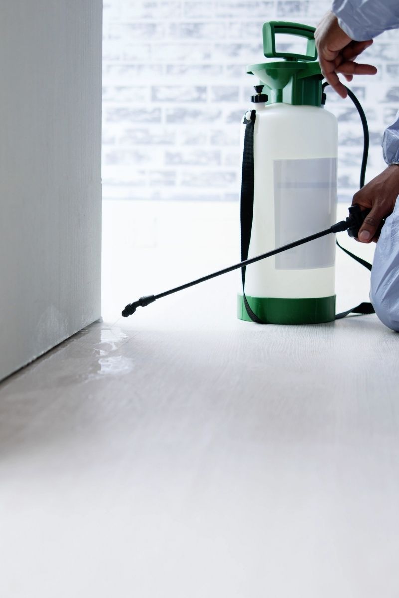 Residential Pest Control in Newtown