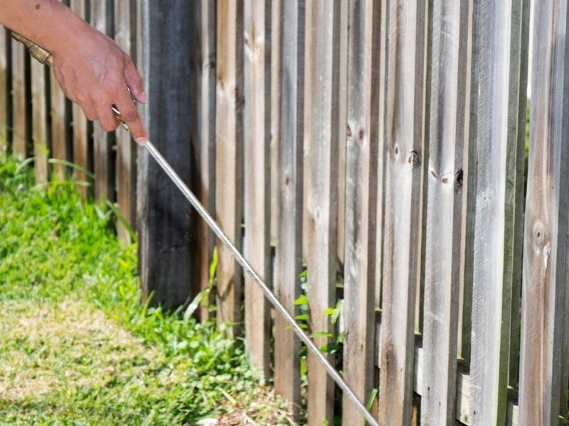 Residential Pest Control in Petersham