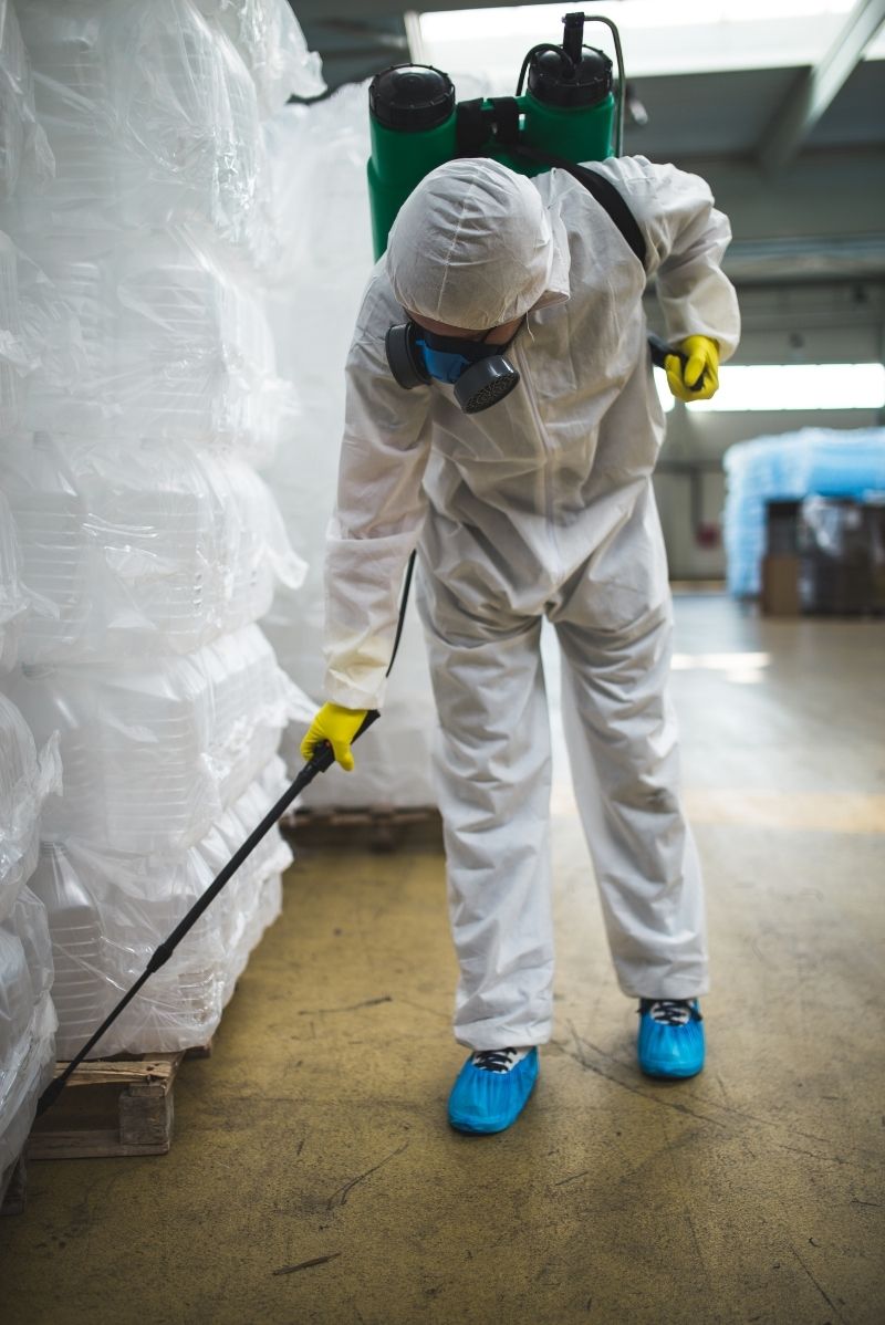 Residential Pest Control in St Peters