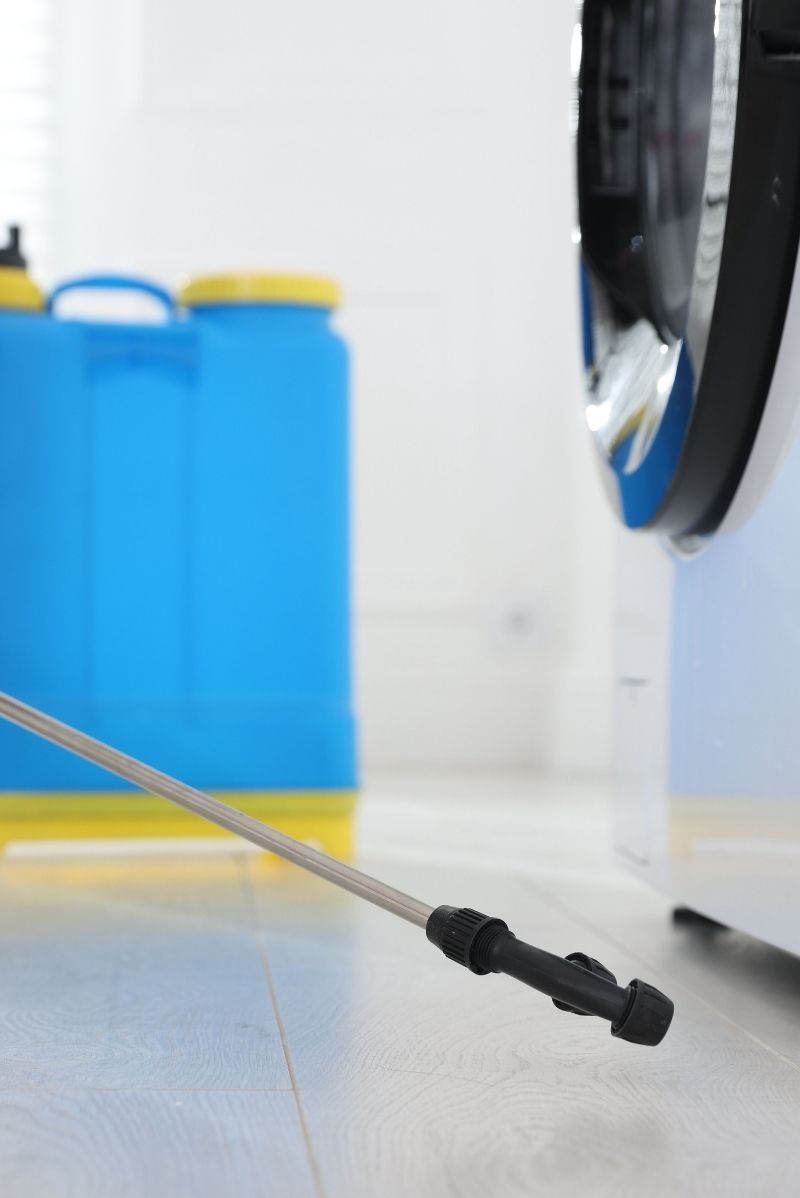 Residential Pest Control in Stanmore